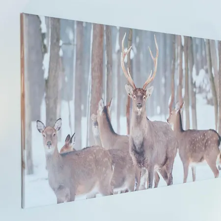 Apartment In Kirchberg Near Slopes Kirchberg in Tirol