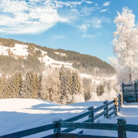 Apartment In Kirchberg Near Slopes *