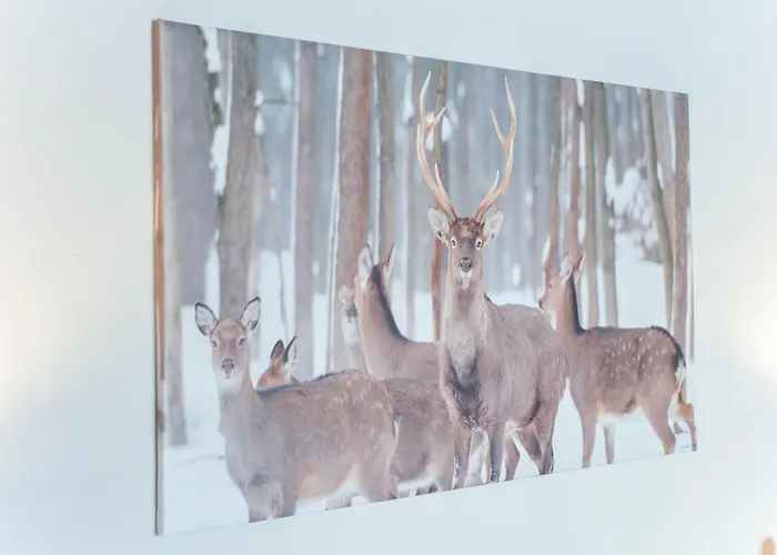 Apartament In Kirchberg Near Slopes Kirchberg in Tirol